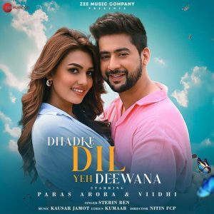 Dhadke Dil Yeh Deewana (2024) Album Art