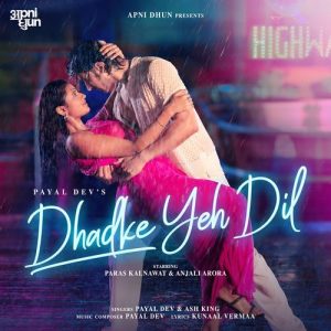 Dhadke Yeh Dil (2025) Album Art