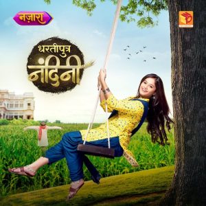 Dhartiputra Nandini (Original Series Soundtrack) (2023) Album Art