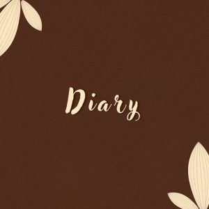 Diary (2025) Album Art