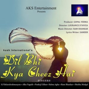 Dil Bhi Kya Cheez Hai (2014) Album Art