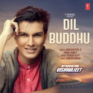 Dil Buddhu (2017) Album Art
