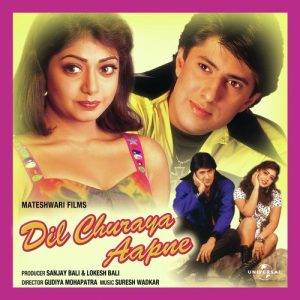 Dil Churaya Aapne (2008) Album Art