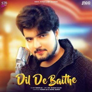 Dil De Baithe (2024) Album Art