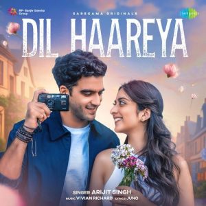Dil Haareya (2023) Album Art