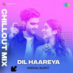 Dil Haareya – Chillout Mix (2024) Album Art