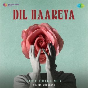 Dil Haareya – Soft Chill Mix (2025) Album Art