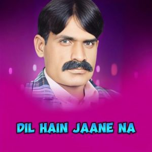 Dil Hain Jaane Na (2024) Album Art