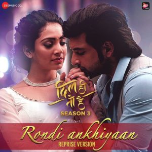 Dil Hi Toh Hai Season 3 (2020) Album Art