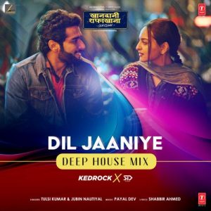 Dil Jaaniye – Deep House Mix (2023) Album Art
