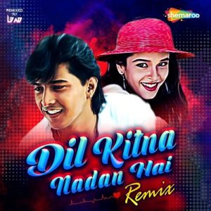 Dil Kitna Nadan Hai – Remix (2022) Album Art