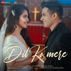 Dil Ko Mere (2021) Album Art