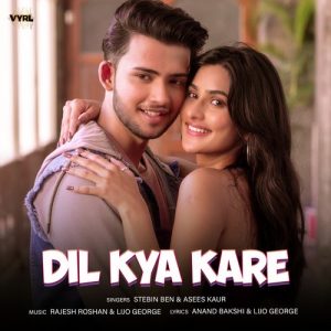 Dil Kya Kare (2024) Album Art