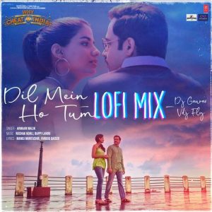 Dil Mein Ho Tum Lofi Mix (2025) Album Art