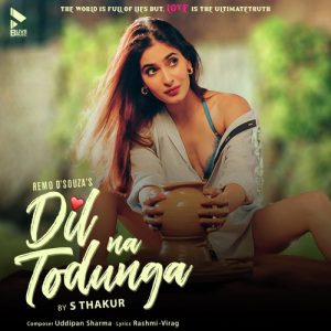 Dil Na Todunga (Cover) (2021) Album Art