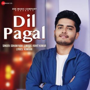 Dil Pagal (2024) Album Art