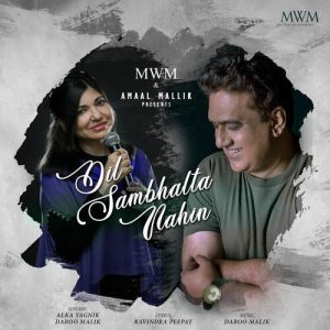Dil Sambhalta Nahin