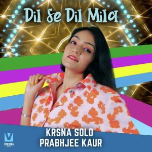 Dil Se Dil Mila