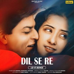 Dil Se Re (LO-FI Remix) (2022) Album Art