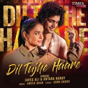 Dil Tujhe Haare (2025) Album Art