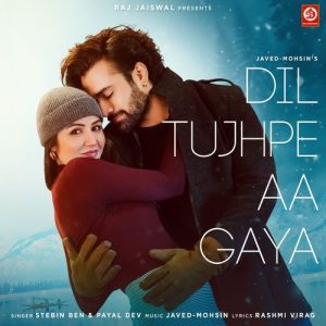 Dil Tujhpe Aa Gaya (2025) Album Art