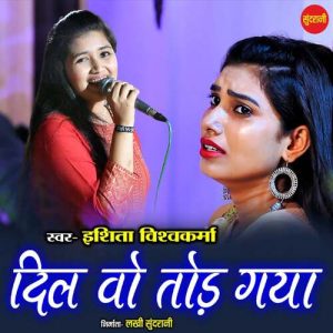 Dil Wo Tod Gaya (2021) Album Art