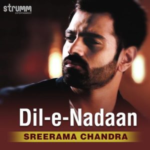 Dil-e-Nadaan (2019) Album Art