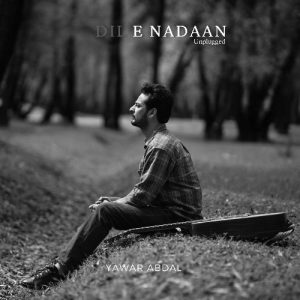 Dil e Nadan (Unplugged) (2023) Album Art