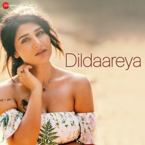 Dildaareya (2023) Album Art