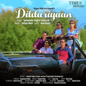 Dildariyaan (2020) Album Art