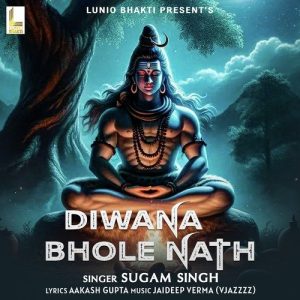 Diwana Bhole Nath (2024) Album Art
