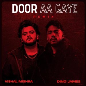 Door Aa Gaye (Remix) (2024) Album Art