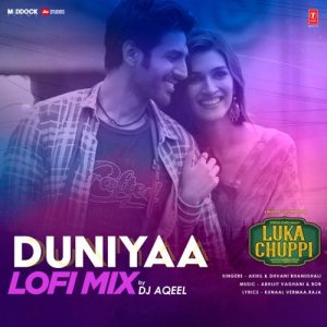 Duniyaa Lofi Mix (2022) Album Art