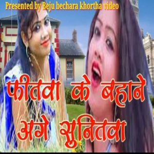 Feetwa Ke Bahane Aage Sunitwa (2025) Album Art
