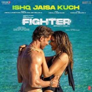 Fighter (2023) Album Art