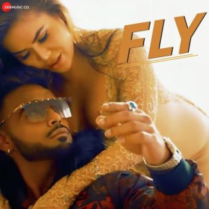 Fly (2020) Album Art