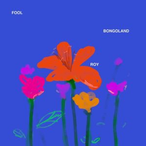 Fool (2023) Album Art