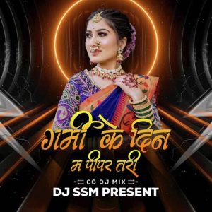 Garmi Ke Din Maa Pipar Tari (Remix) (2023) Album Art