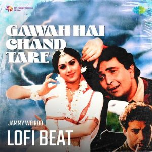 Gawah Hai Chand Tare Lofi Beat (2024) Album Art