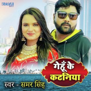 Gehu ke kataniya (2024) Album Art
