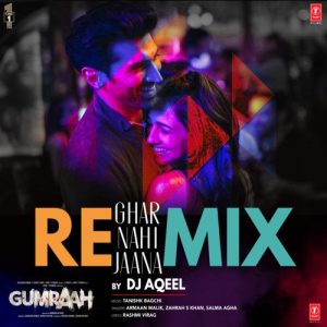 Ghar Nahi Jaana Remix (2023) Album Art