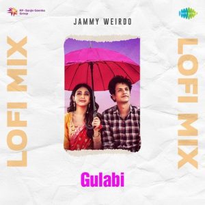 Gulabi Lofi Mix (2023) Album Art