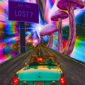 Gumsum (2024) Album Art