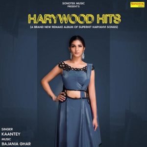 HARYWOOD HITS (2022) Album Art