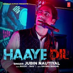 Haaye Dil (2017) Album Art