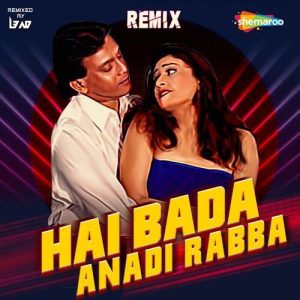 Hai Bada Anadi Rabba – Remix (2022) Album Art