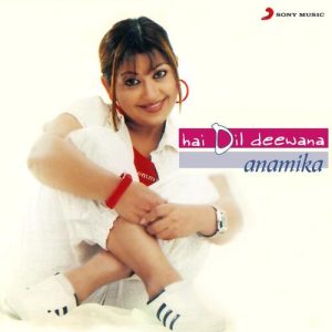 Hai Dil Deewana (2004) Album Art