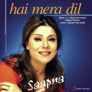 Hai Mera Dil