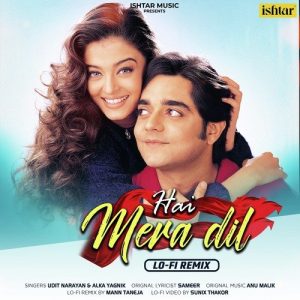 Hai Mera Dil (Lo-Fi Remix)