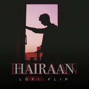 Hairaan (Lofi Flip) (2024) Album Art